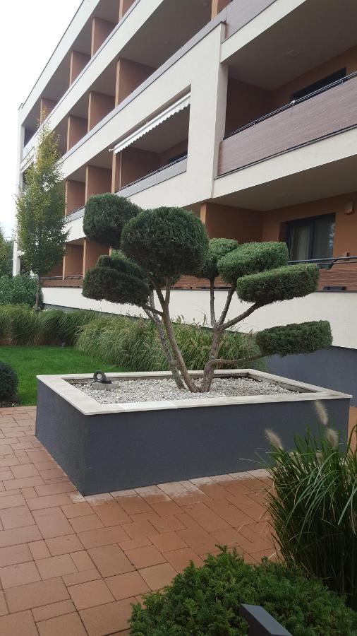 شقة ديبريتْسين  في Big Forest Apartman المظهر الخارجي الصورة